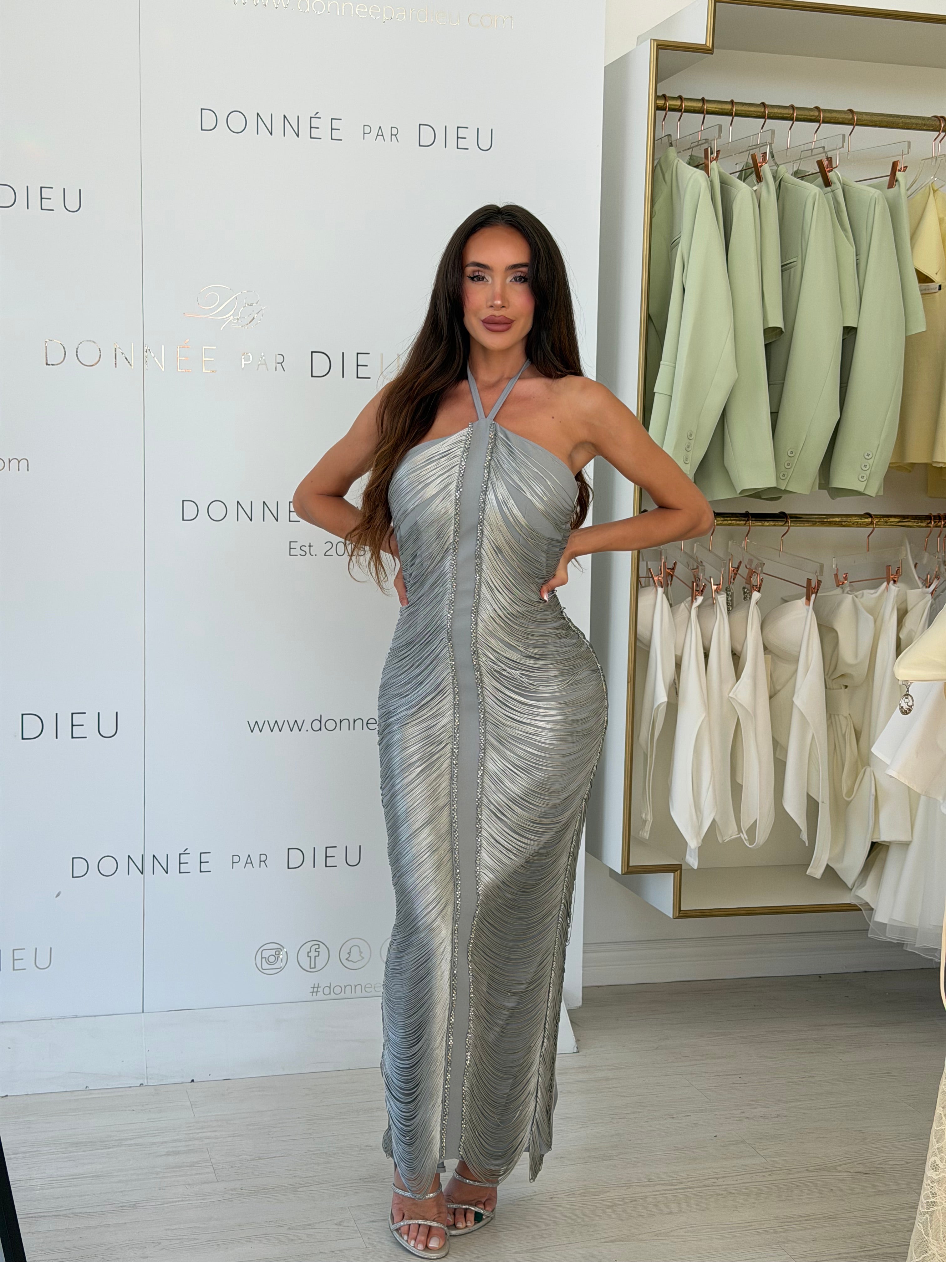 " Silver Elara " Dress