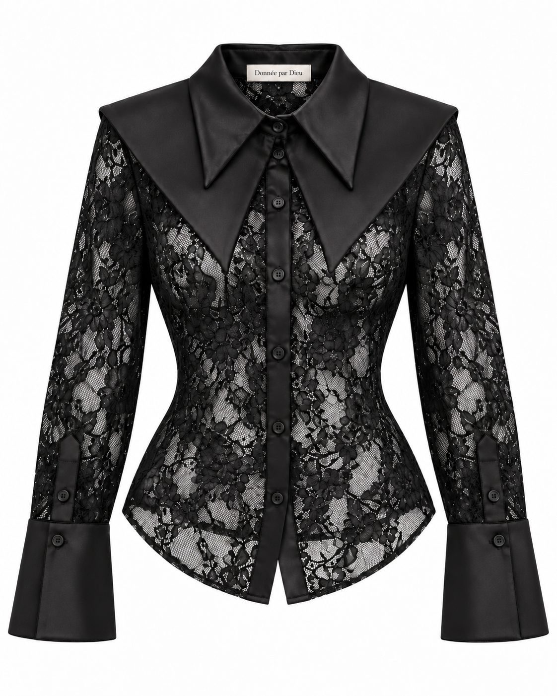 “Allure” statement collar sheer lace top