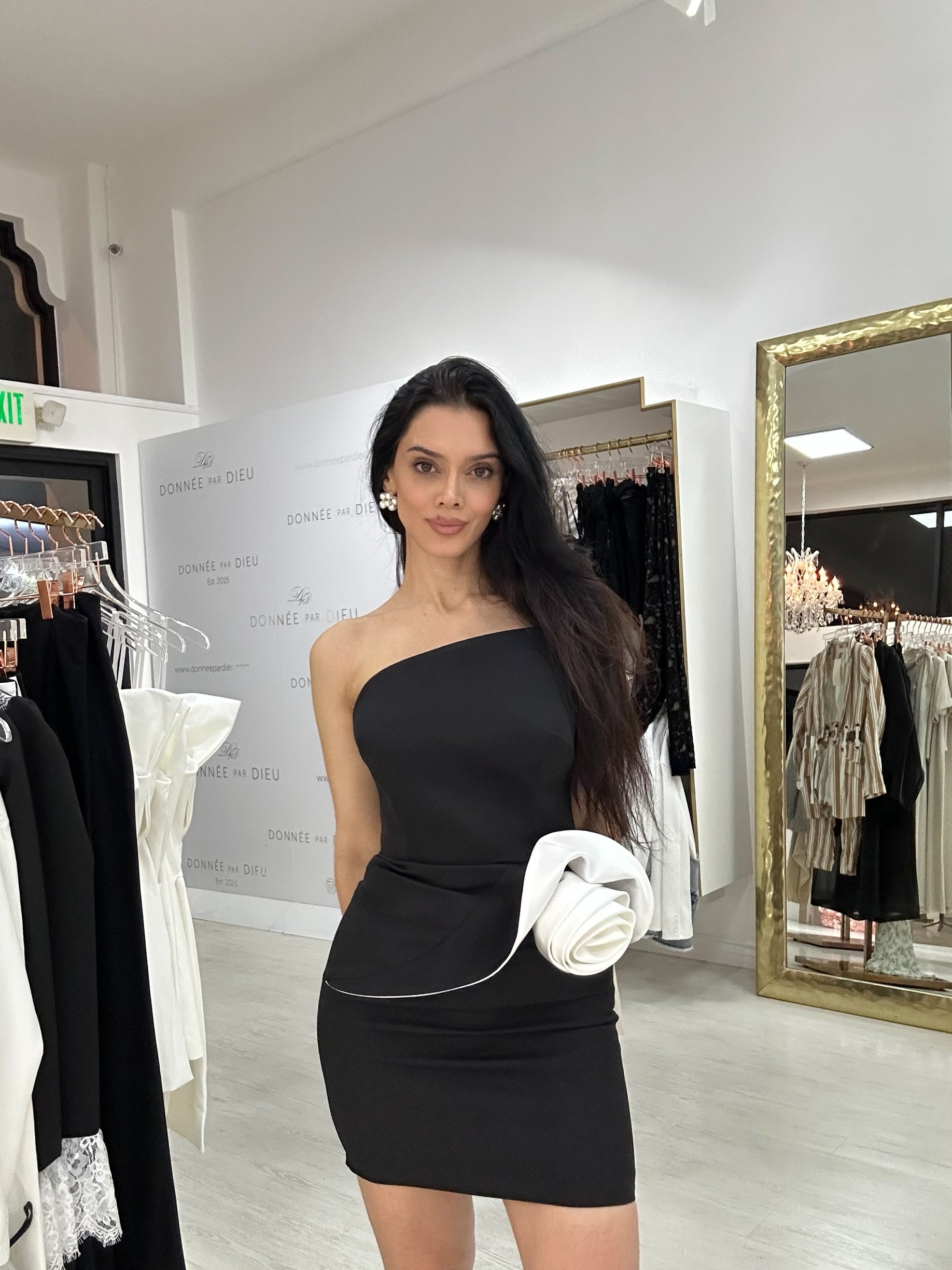“Jena” dress